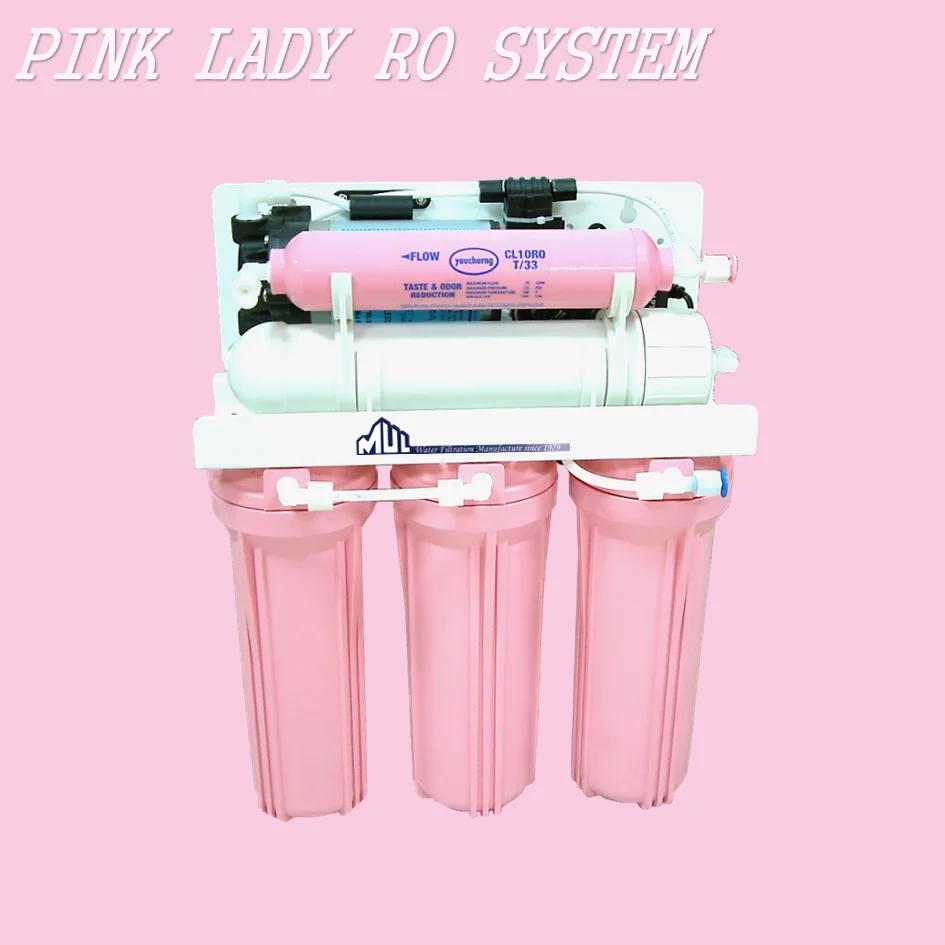 Hot Selling Reverse Osmosis RO System for Home