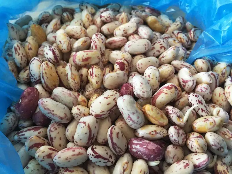 kidney-beans-.jpg