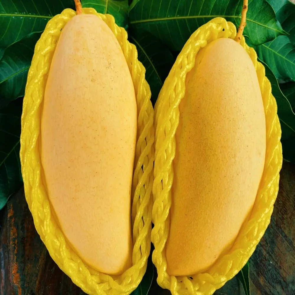 
High Quality Fresh Mangos Fruit Sweet Namdokmai from Thailand 