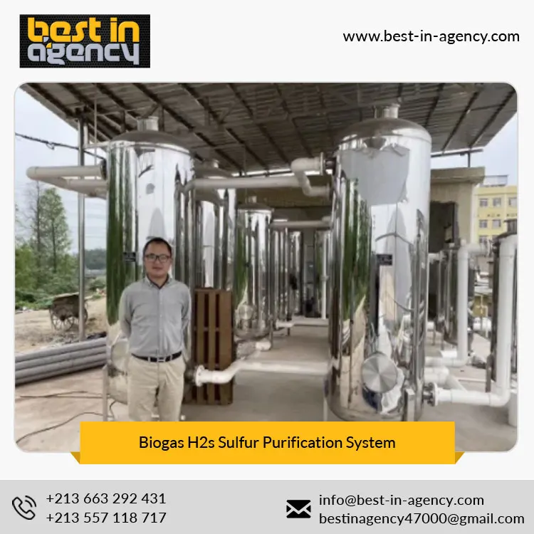 Stainless Steel 20~300 Nm3/H Moisture Desulfurization Scrubber Biogas H2s Sulfur Purification System