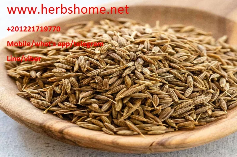 Egyptian Cumin Seeds high quality Natural Type best Grade and best price