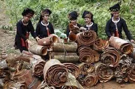 VIETNAM CINNAMON STICK best PRICE CINNAMON/CASSIA AND SPLIT CASSIA