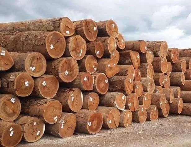 Wholesale Supplier Doussie Wood Logs For Sale In Cheap Price Bulk Doussie Wood Logs