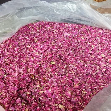 Dried Rose Petals from India