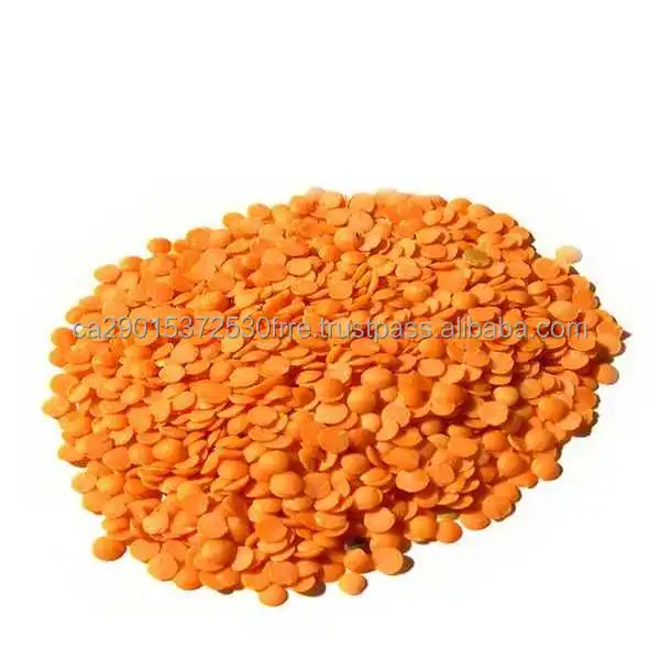 5fe5ad8b288d9.jpg