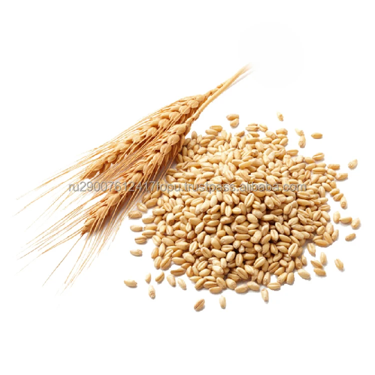 Wheat soft from 1 to 5 class in grain carriers, covered wagons or containers worldwide delivery, wheat