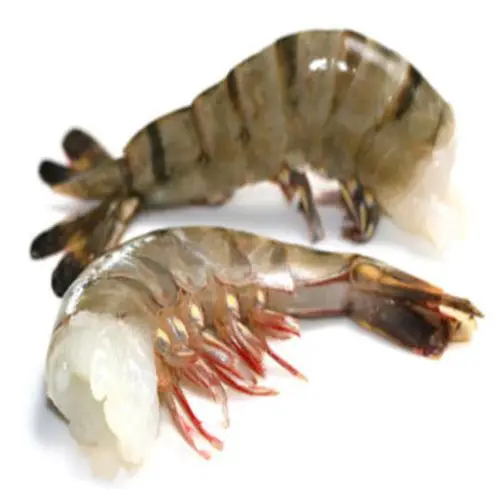 Fresh Peeled Deveined Tail Off Vannamei Shrimp Frozen Prawns Fresh Scientific Name Of Usa Whole Products