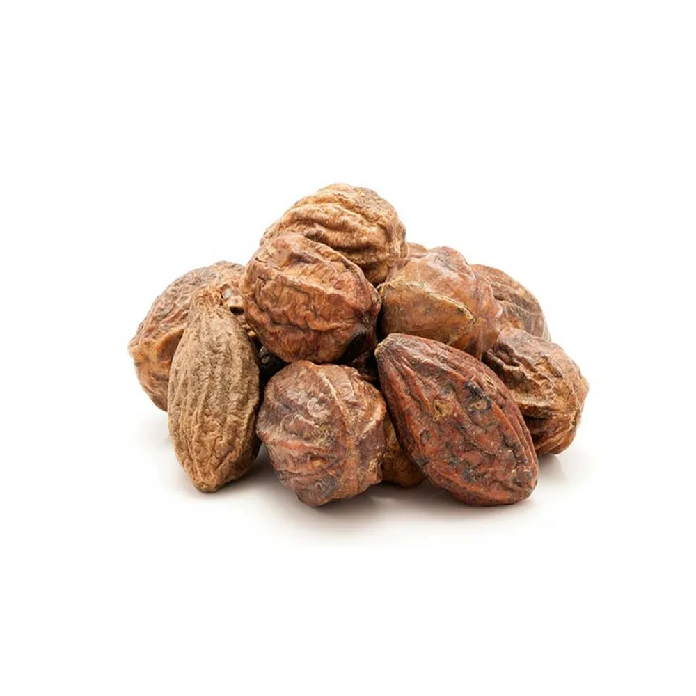 100% Pure Organic Terminalia Chebula Haritaki Powder Best Use Making Capsules High Quality Wholesale Manufacturer