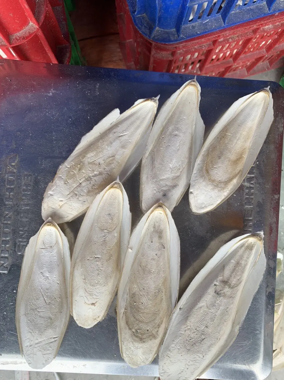 Хороший товар от Ocean Cuttlefish, лучший тип костей для игрушек для домашних животных-Tony (телефон/Whatsapp/Viber: + 84 911 333 066)