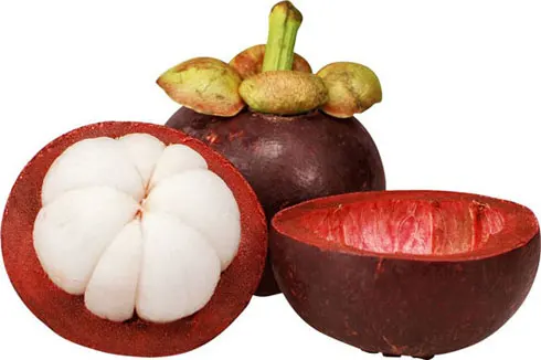 Mangosteen Fresh Fruit Best Seller From VIETNAM Mangosteen juice/ MS KATHY +84 896650714