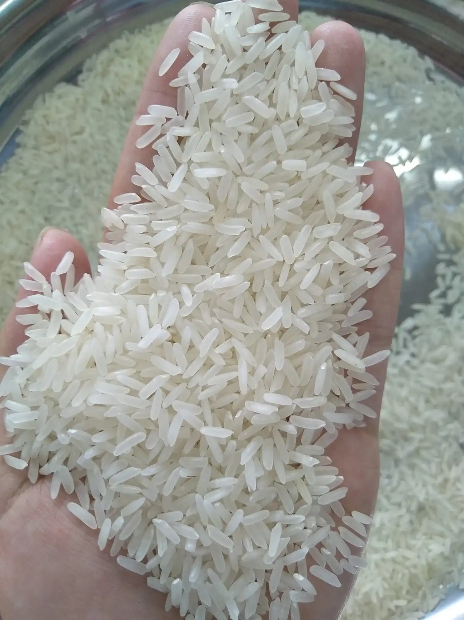 New Crop Fragrant Rice Vietnam Long Grain White Rice DAI THOM 8 DT8 Rice 5%