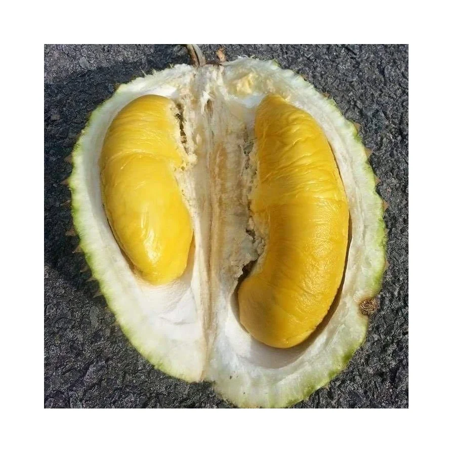 Hot Selling Grade A Super Fresh Frozen Musang King Durian Whole Fruit For Export Malaysia Musang King IQF Durian Tropical Fruits