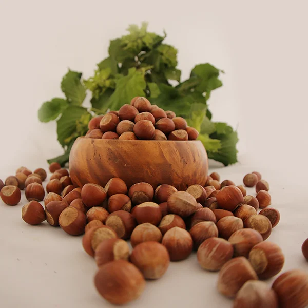 Unshelled Hazelnut.png