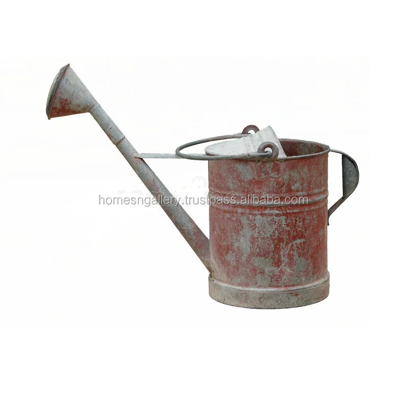 Wholesale Galvanized Home garden metal watering cans at low price