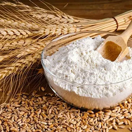 Whole Sale All Purpose White Wheat Flour