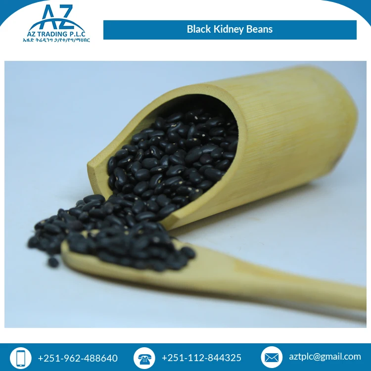Hot Selling Good Quality 0.5% Spilt Bulk Supply Ethiopian Black Kidney Beans