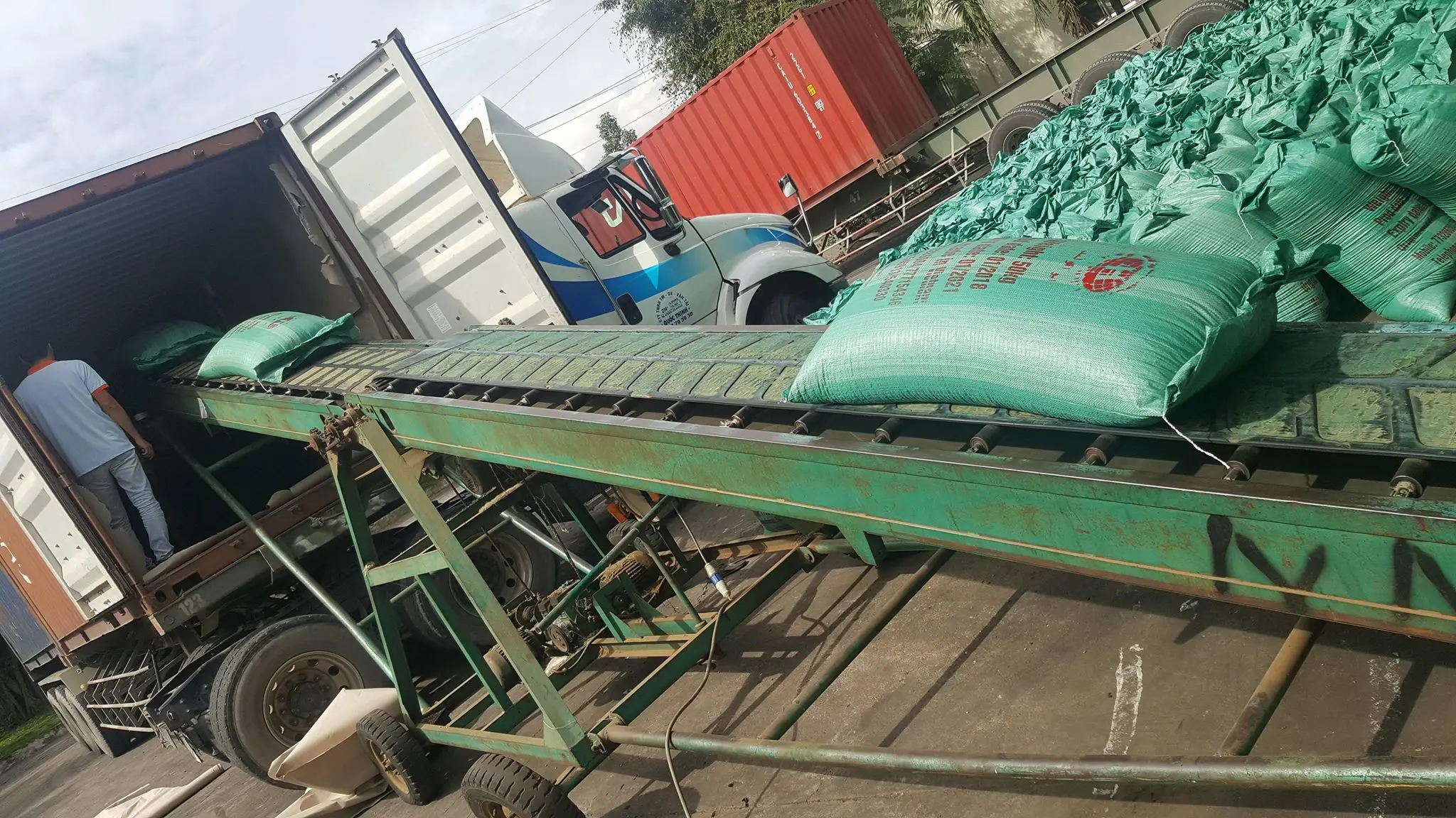 Arabica coffee bean | Vietnam | Whatsapp: +84865381935