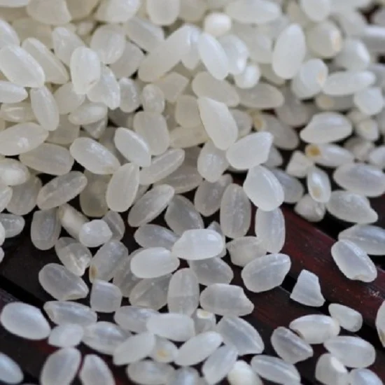 Good Quality Japonica Rice in Vietnam/ Calrose Rice with Round Rice