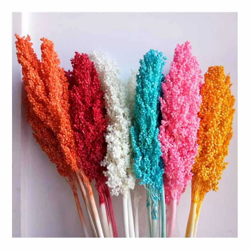 Высококачественная Оптовая Продажа сорго красного цвета по хорошей цене