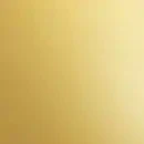 HNA Taiwan Made Golden Glass Spice Jars 4 ounces Empty Bottle with Shaker Lids Caps