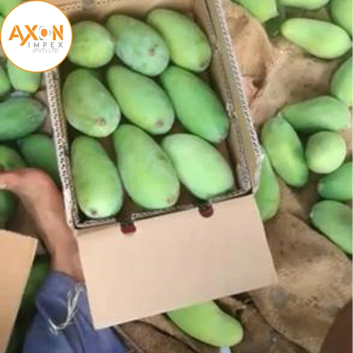 
A+ Grade Chaunsa Mangoes For Sale/High Quality Chaunsa Mangos From Pakistan 