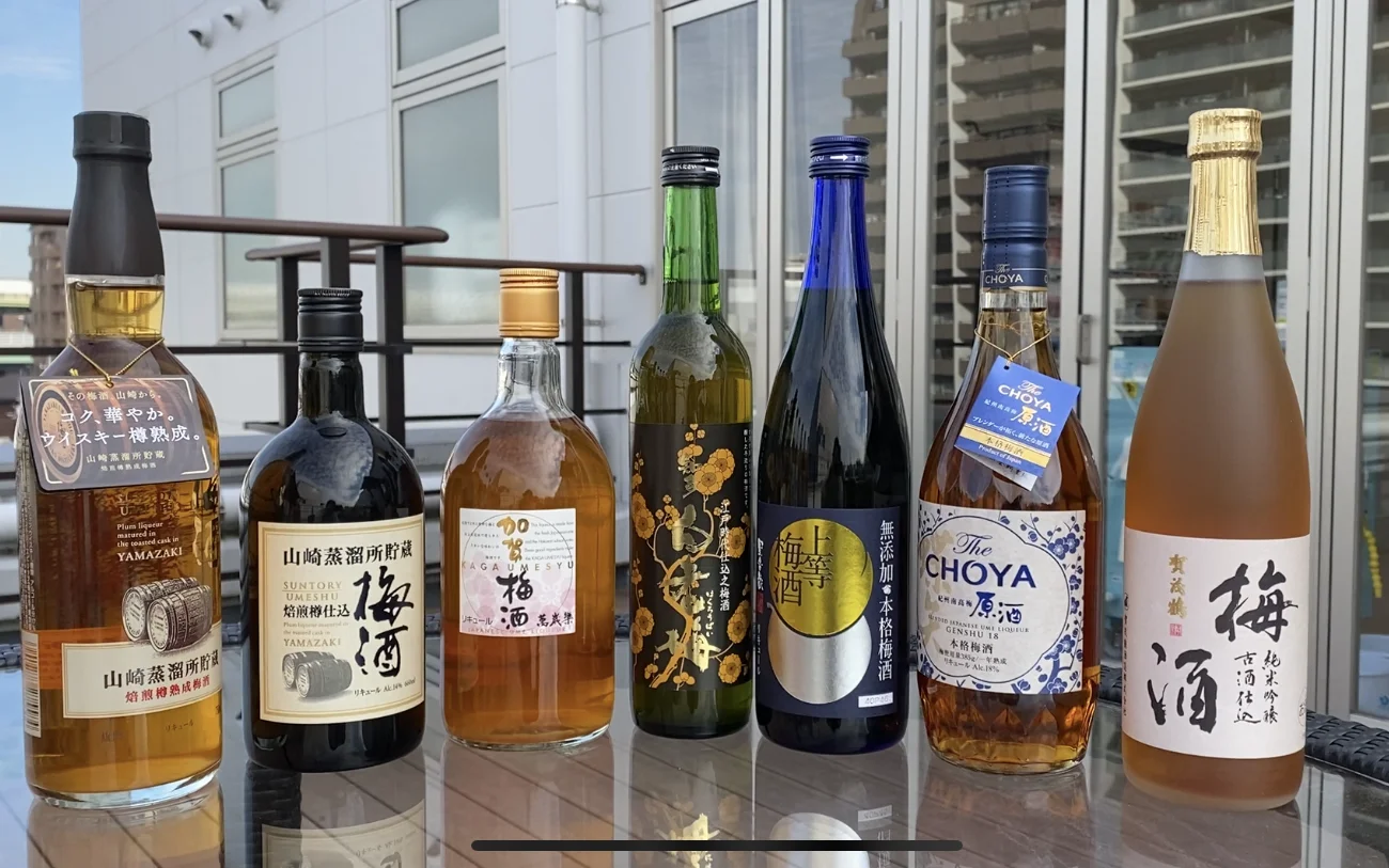 Большой выбор японских бутылок для вина, сливы, ликера, 750 мл, отлично подходит для подарка