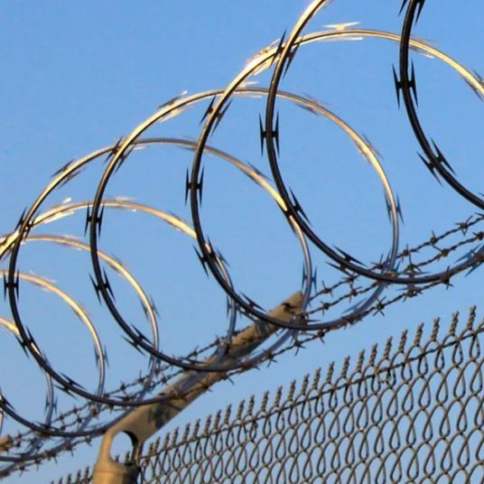 Hot dipped galvanized anti-rust Single Concertina Razor Barbed Wire fence