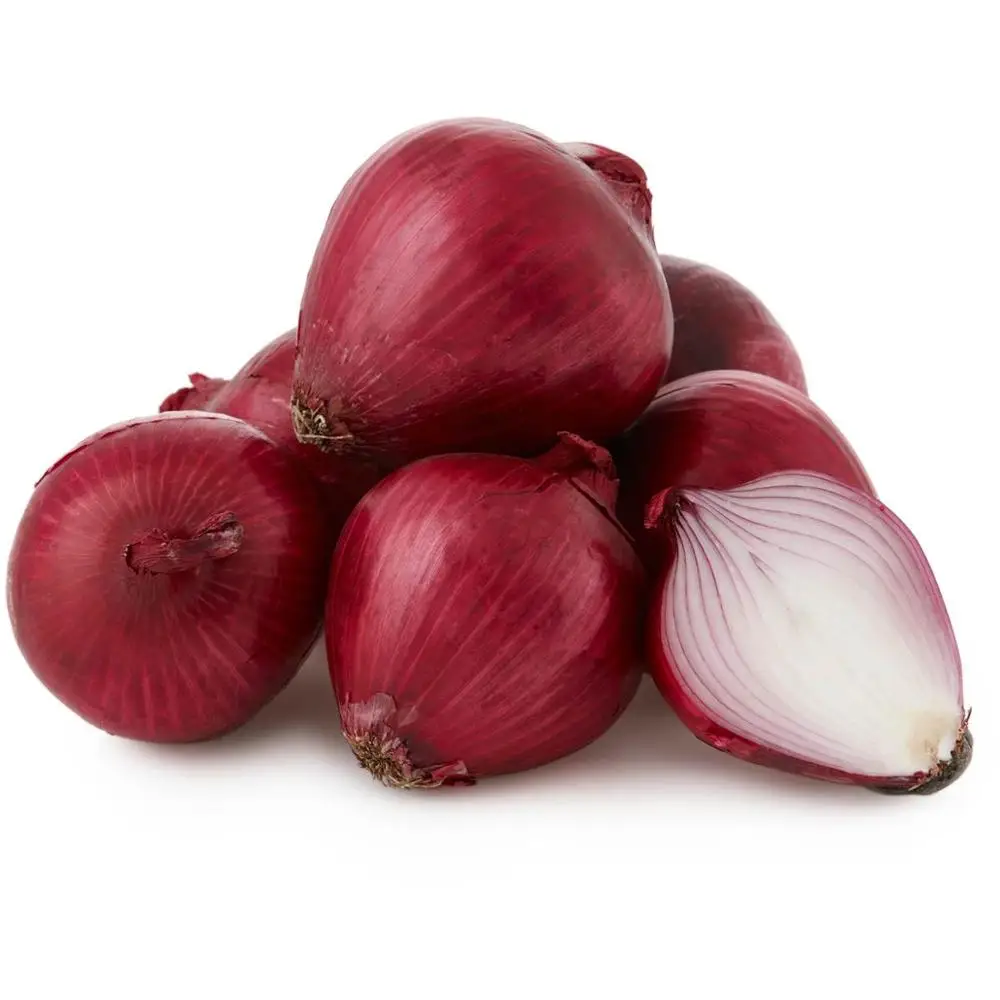 Hot Sales Quality Fresh Red Onion Available For Wholesale Buyers
