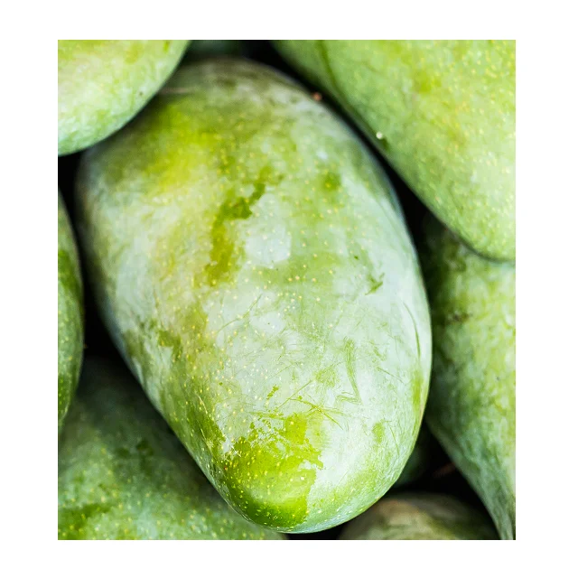 
Organic Pakistani Fresh Green Mangoes In Wholesale Price 