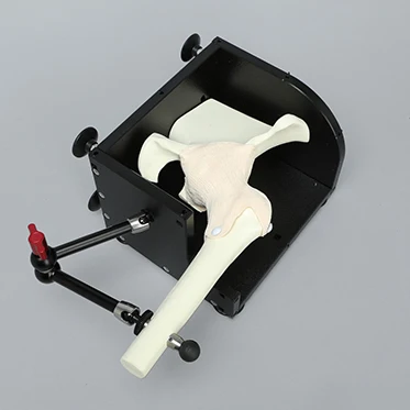 Sawbones 1703-696 Express Arthroscopy Hip