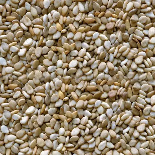 Factory wholesale white and black hulled sesame seed with lowest price