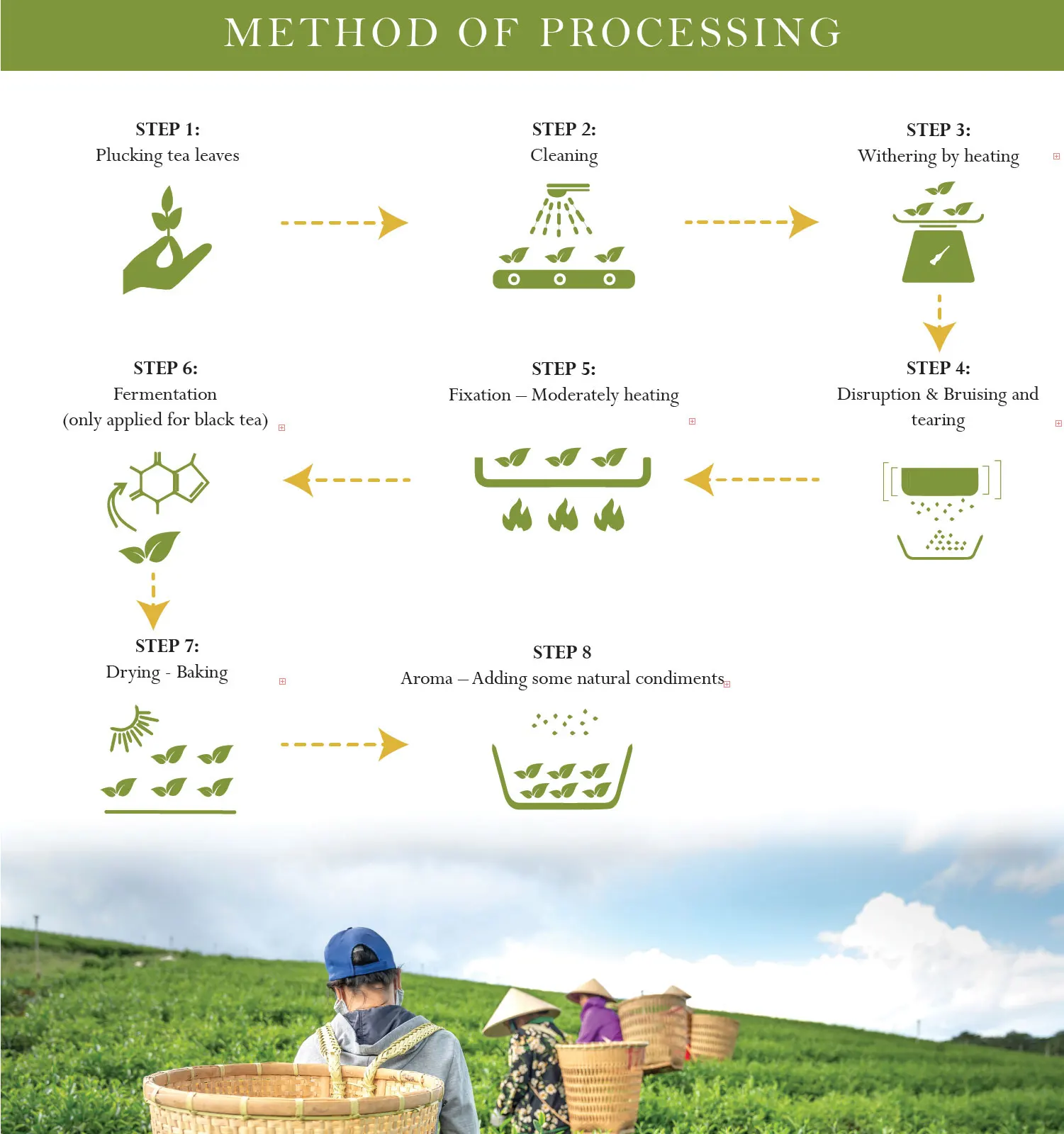 4. Method Of Processing.jpg