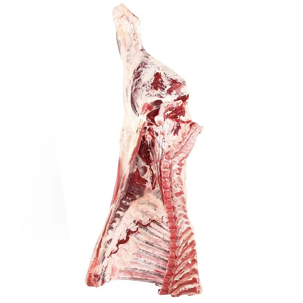 
Frozen Beef Body Carcass Split into 8 Pieces from Argentina 