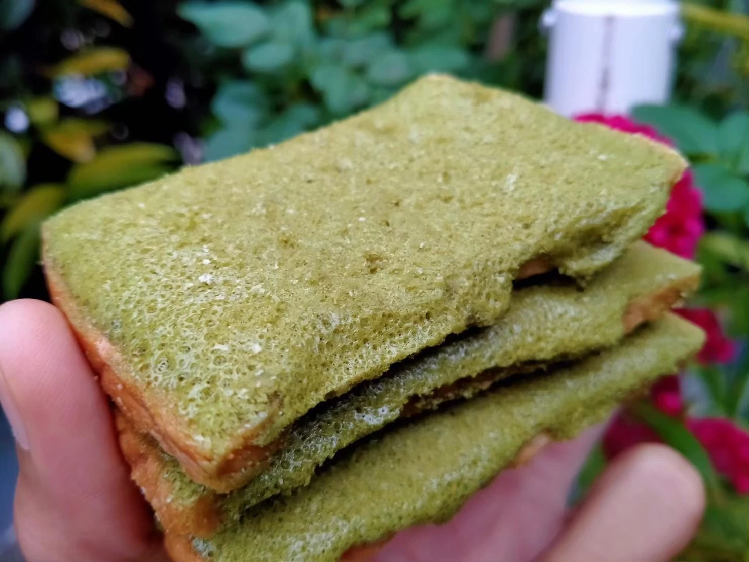 Famous Tasty COKY Butter Cookie Dough Green tear Bulk Style Packing Packaging Sweet Delicious Desserts From Thailand