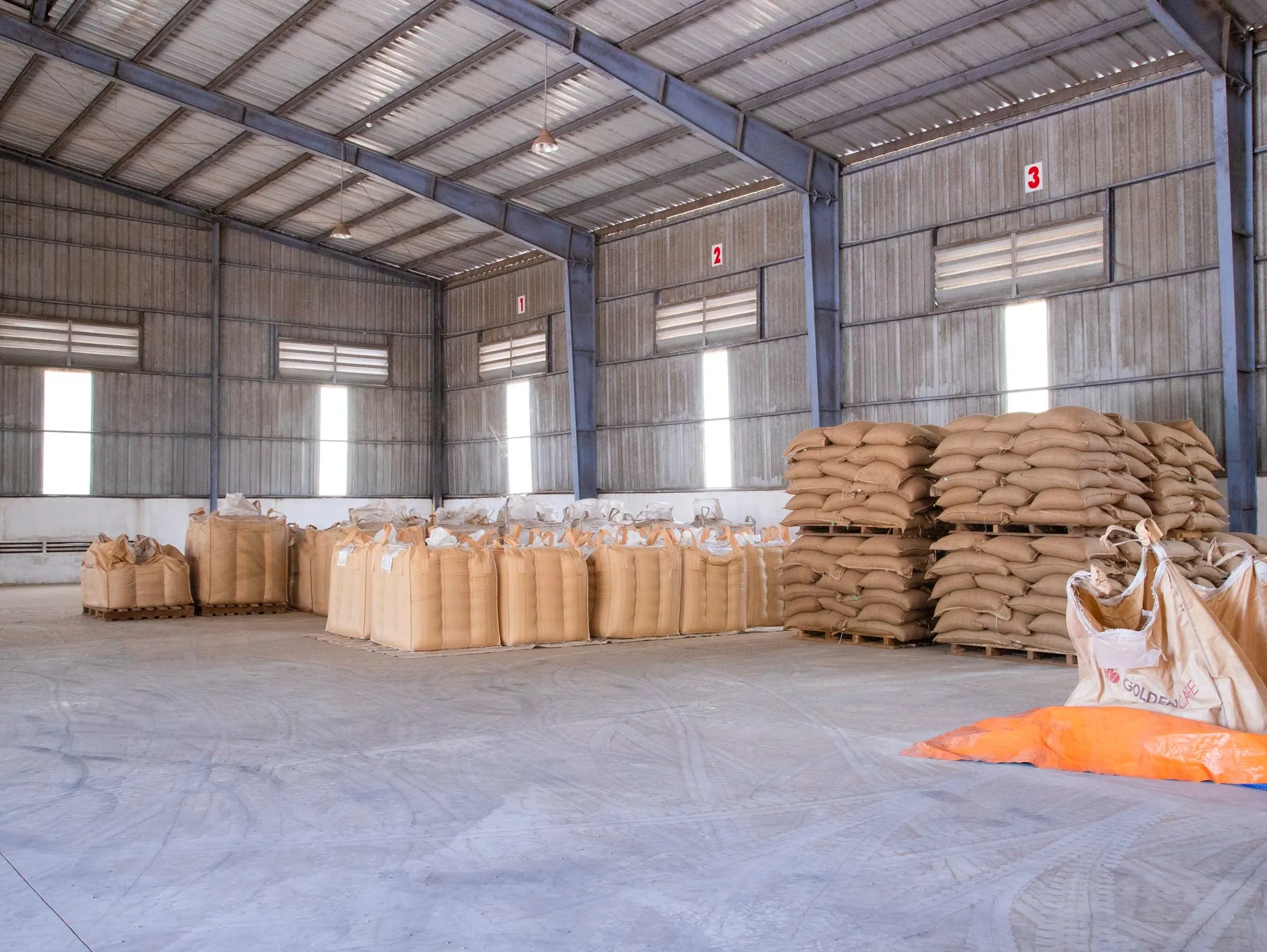 
Robusta coffee beans best price 