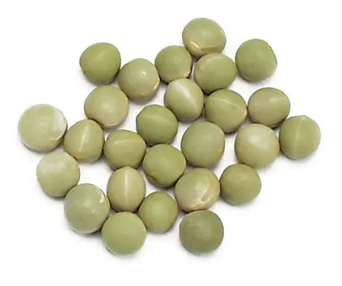 Сушеные здоровые овощи, сушеный зеленый горох оптом