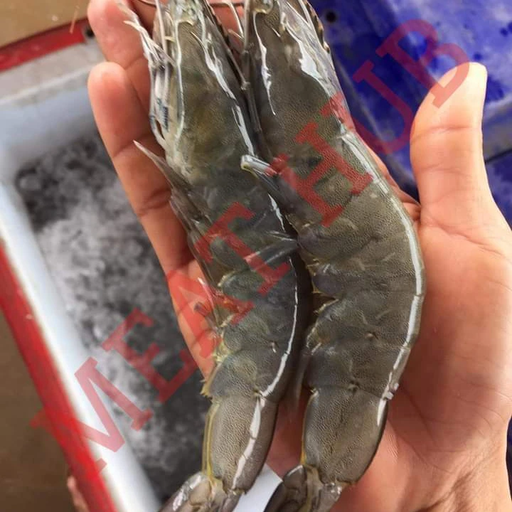 Vannamei Shrimp /Frozen Shrimp / Fresh Frozen Shrimps