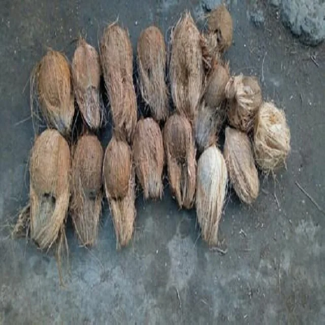 Свежий большой полу очищены кокоса