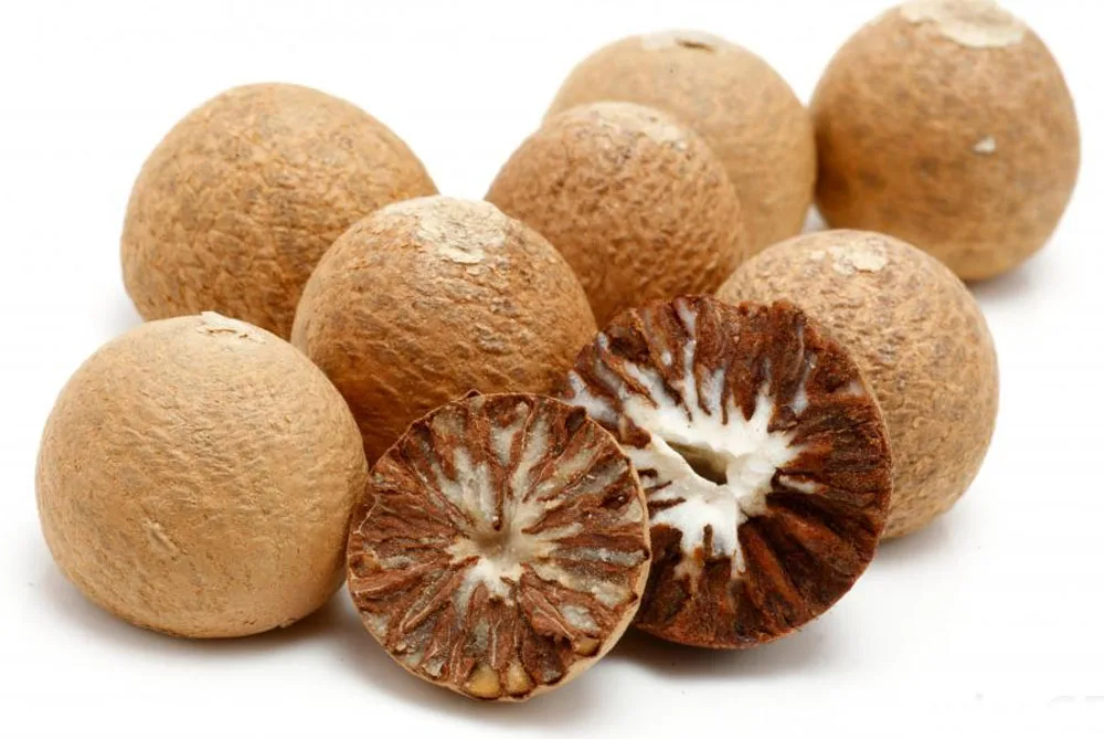 Bulk High Quality Vietnamese Areca Nut - Betel Nut With Wholesale