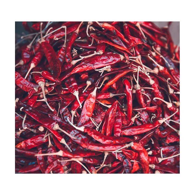 
Premium Quality Spices Red Chilli In Wholesale Price 