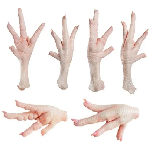 
Quality Frozen Whole Halal Chicken And Chicken Parts From Brazil & USA 