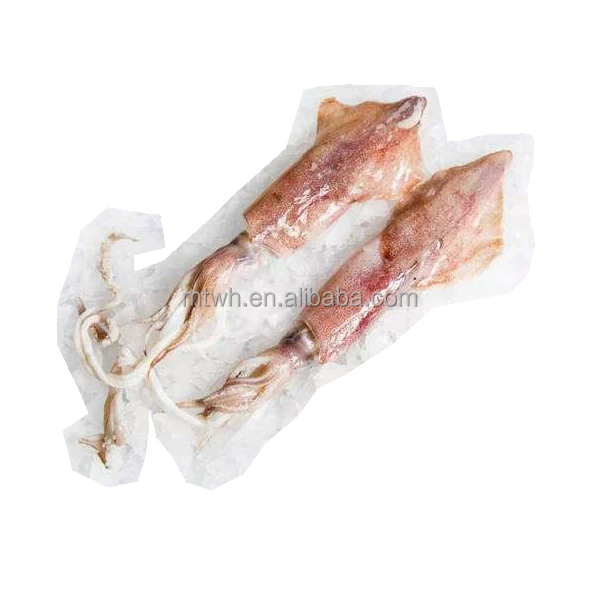 Wholesale All Size Customizable BQF Squid Fish Squid Whole Round Illex Squid
