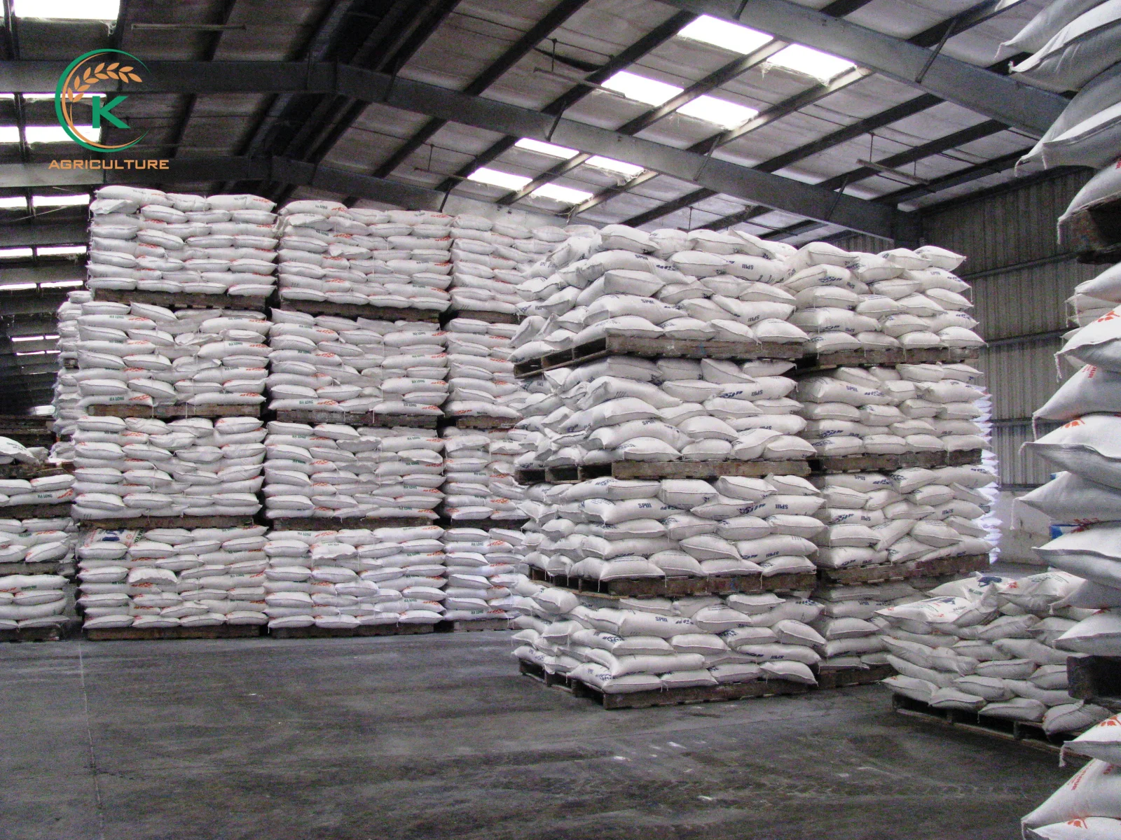 IR504 Fresh Grain Soft Texture Rice from Vietnam New Crop K-Agriculture Factory / Whatsapp: +84 855555794