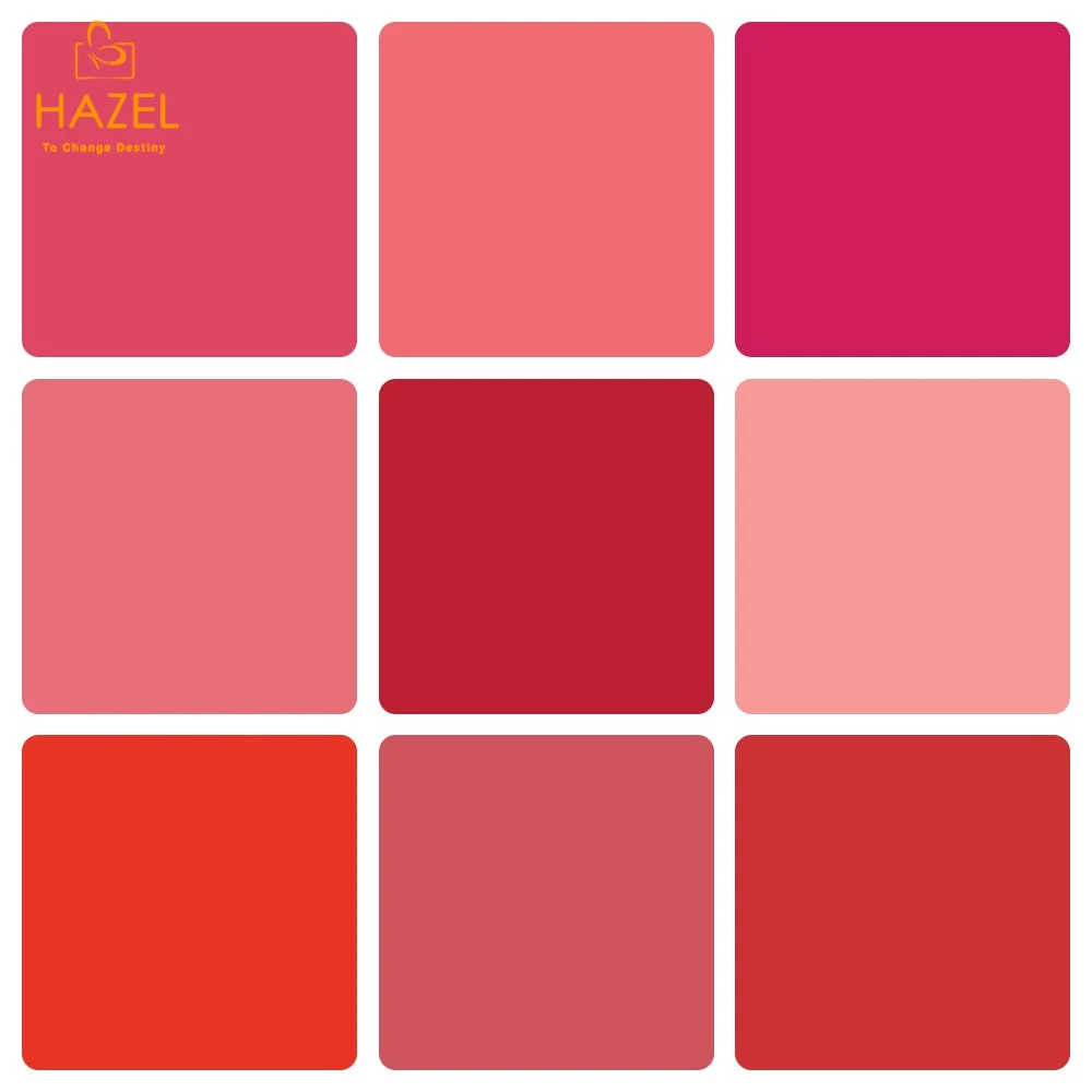 Full OEM/ODM Service Private Label For 100% Organic Tinted Lip Balm with Elegant Colors and Flawless Matte Finish lip blam