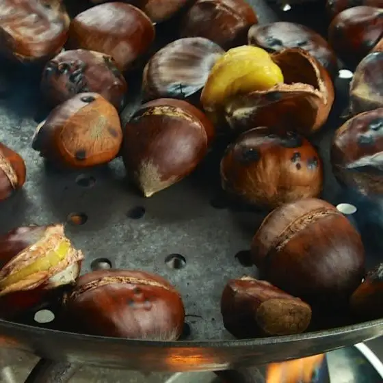 
Good Price Fresh Chestnut for Sale 