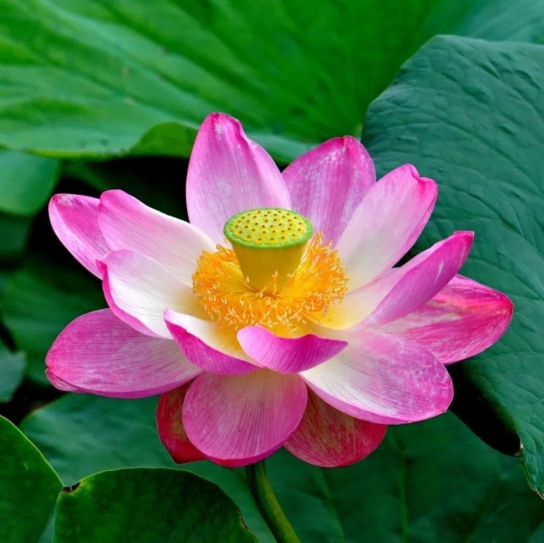 
 EXCITING VIP-CLASS EXCEPTIONAL Eco Tours  