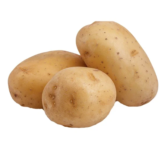 Лучший поставщик картофеля по всему миру/Голландия/мозика/Леди Розетта/большой коричневый картофель Санта для продажи