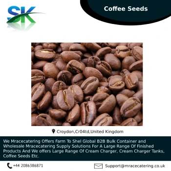High Manufacturing Choice Wet Washed Wet-polished A18CBU-B Arabica Green Coffee Beans From Vietnam