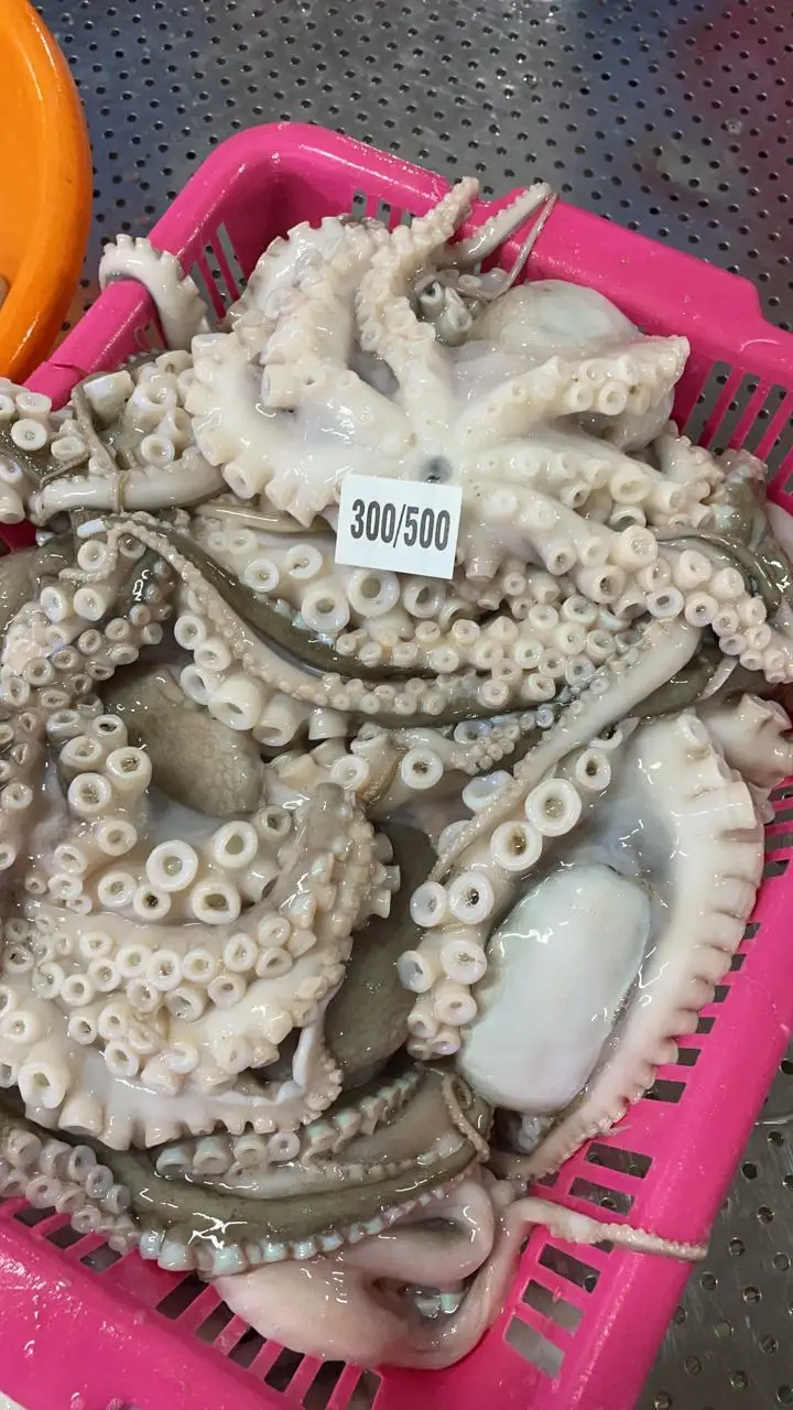 Top quality block frozen Octopus whole long arm from India, frozen octopus for sale