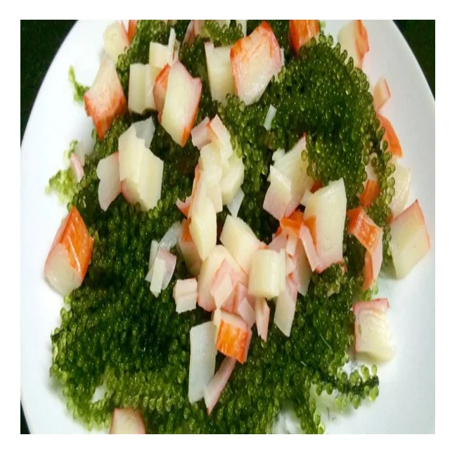 Best seller sea grapes from Vietnam with attractive dishes for children